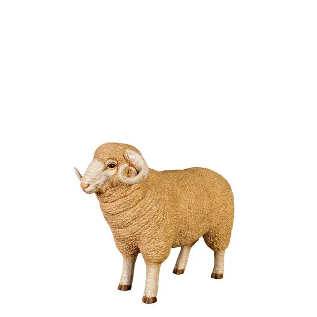 Baby Merino Ram Life Size Statue LM Treasures - H