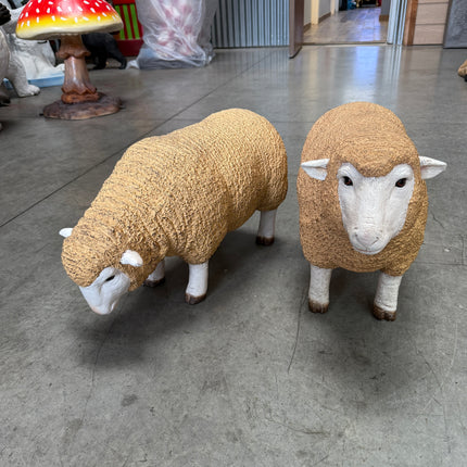 Baby Merino Ewe Head Down Life Size Statue