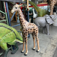 Baby Giraffe Life Size Statue