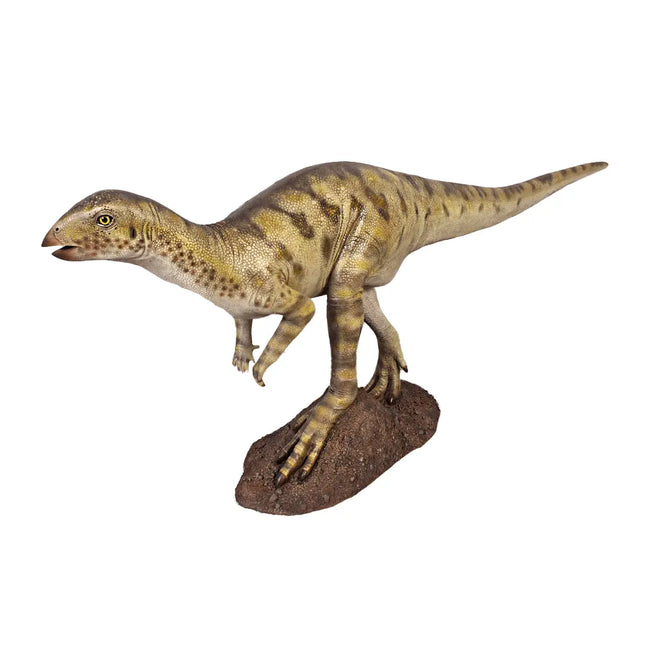 Hypsilophodont Dinosaur Life Size Statue LM Treasures - H