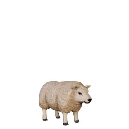 Texelaar Baby Sheep Life Size Statue