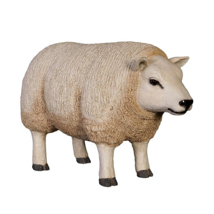 Texelaar Baby Sheep Life Size Statue - LM Treasures 