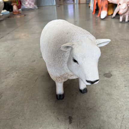 Texelaar Baby Sheep Life Size Statue