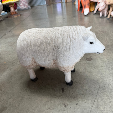 Texelaar Baby Sheep Life Size Statue