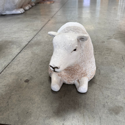Texelaar Baby Sheep Laying Life Size Statue