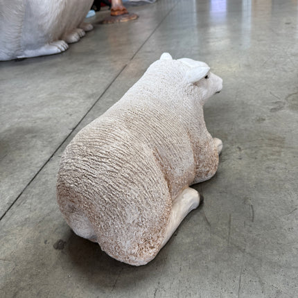 Texelaar Baby Sheep Laying Life Size Statue