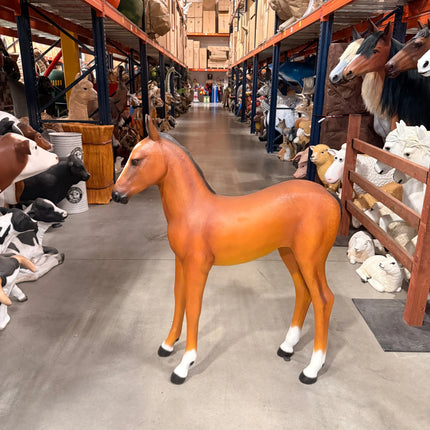 Foal Pony Life Size Statue LM Treasures - H