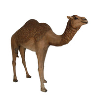 Camel Standing Life Size Nativity Statue - LM Treasures 