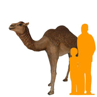 Camel Standing Life Size Nativity Statue - LM Treasures 