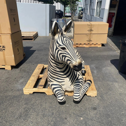 Resting Zebra Life Size Statue LM Treasures - H