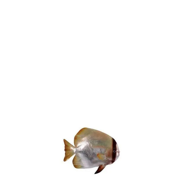 Batfish Statue LM Treasures - H