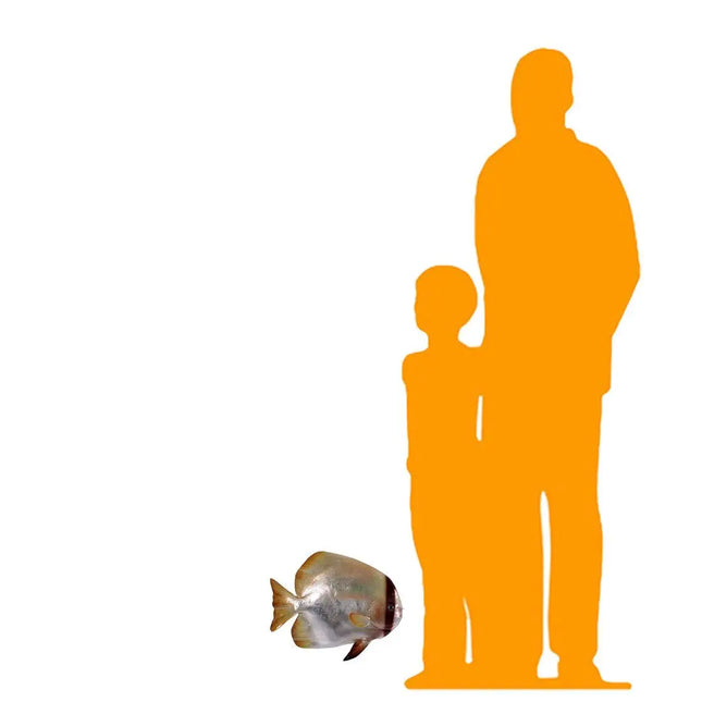 Batfish Statue LM Treasures - H