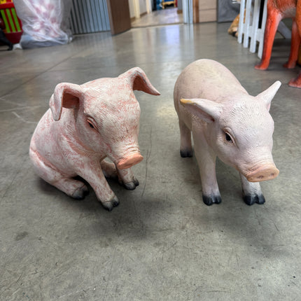 New Born Pig Sitting Life Size Statue