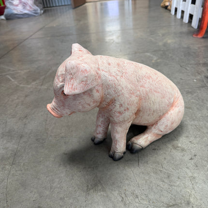 New Born Pig Sitting Life Size Statue