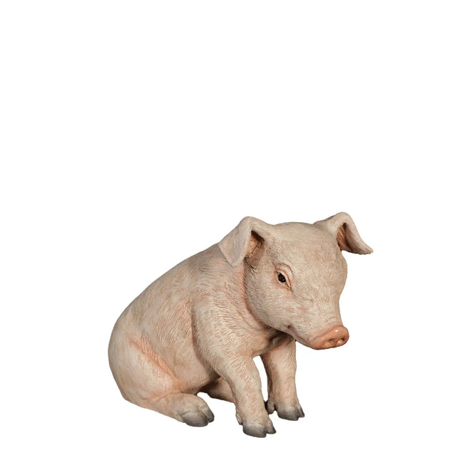 New Born Pig Sitting Life Size Statue LM Treasures - H