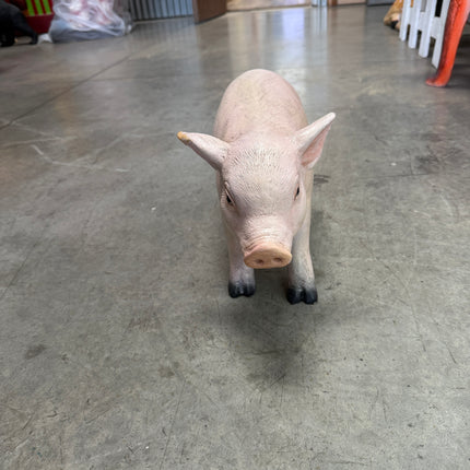 New Born Pig Life Size Statue