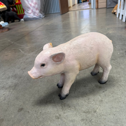 New Born Pig Life Size Statue