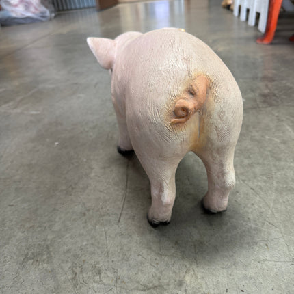 New Born Pig Life Size Statue