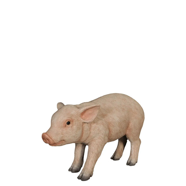 New Born Pig Life Size Statue LM Treasures - H