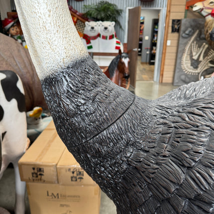 Ostrich Life Size Statue