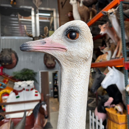Ostrich Life Size Statue