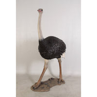 Ostrich Life Size Statue - LM Treasures 