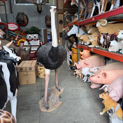 Ostrich Life Size Statue