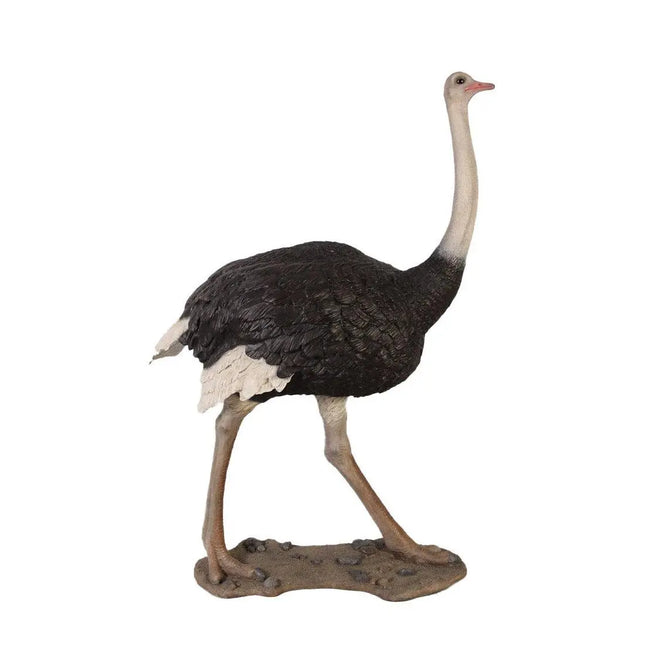 Ostrich Life Size Statue LM Treasures - H