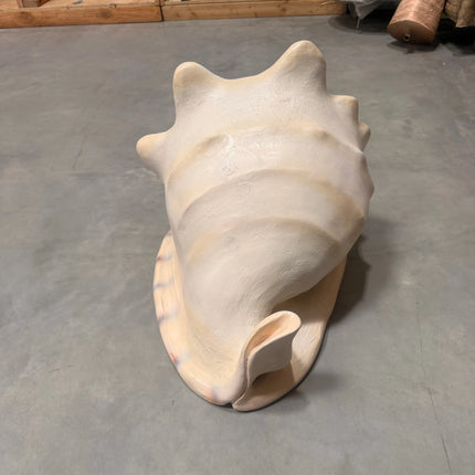 Helmet Shell Life Size Statue LM Treasures - H