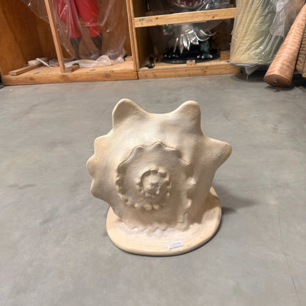 Helmet Shell Life Size Statue LM Treasures - H