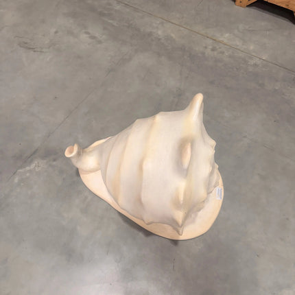 Helmet Shell Life Size Statue LM Treasures - H
