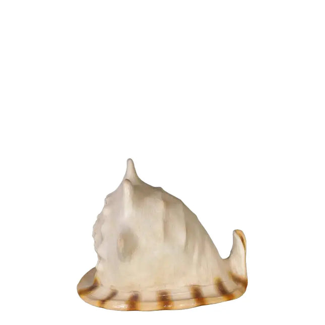 Helmet Shell Life Size Statue LM Treasures - H