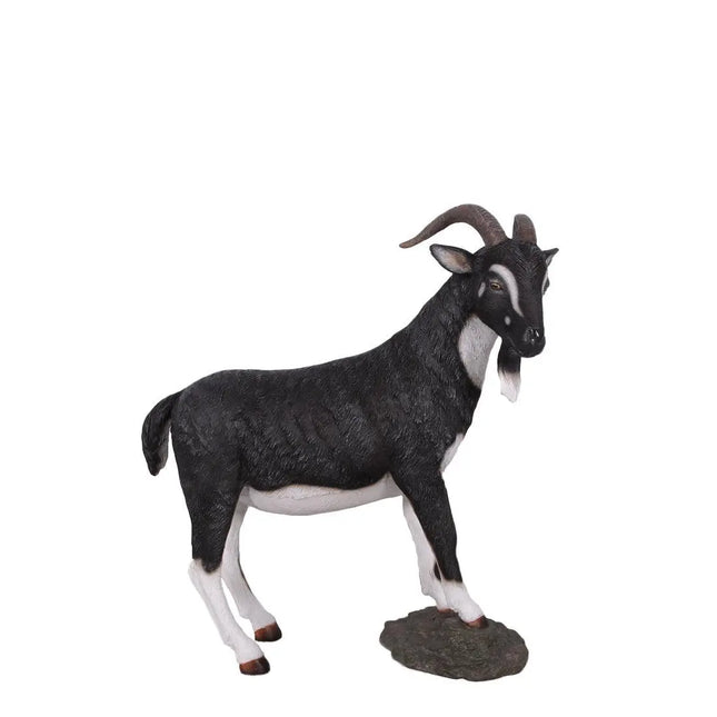 Black Billy Goat Life Size Statue LM Treasures - H
