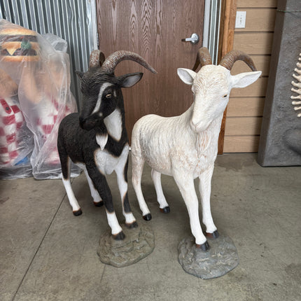 Black Billy Goat Life Size Statue