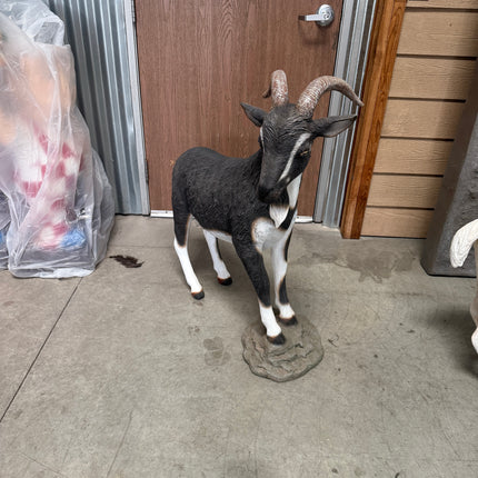 Black Billy Goat Life Size Statue