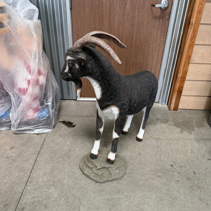 Black Billy Goat Life Size Statue