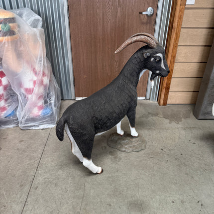 Black Billy Goat Life Size Statue