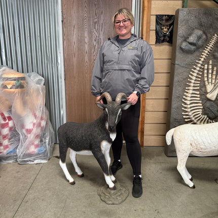 Black Billy Goat Life Size Statue