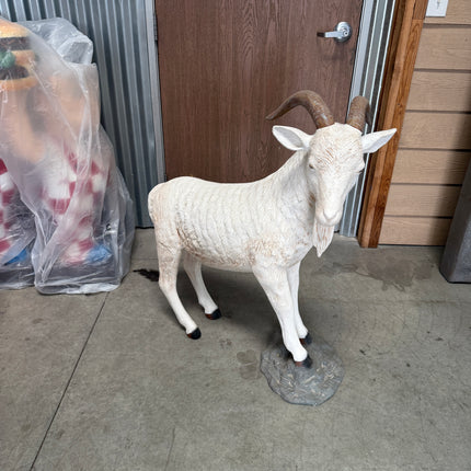 Cream Billy Goat Life Size Statue