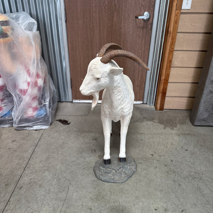 Cream Billy Goat Life Size Statue