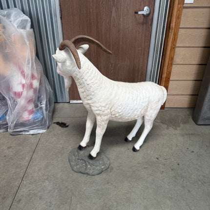 Cream Billy Goat Life Size Statue