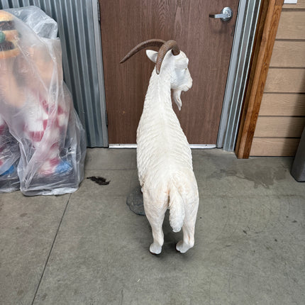 Cream Billy Goat Life Size Statue