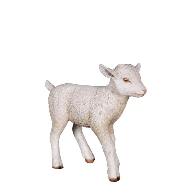 Baby Goat Life Size Statue LM Treasures - H