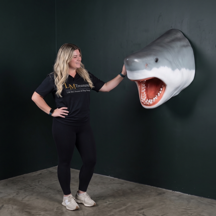 Large Great White Shark Head Statue LM Treasures - H