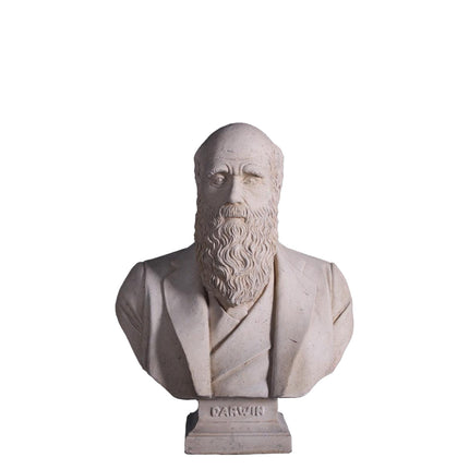 Darwin Bust Life Size Statue