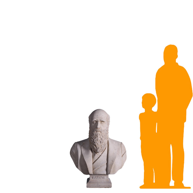 Darwin Bust Life Size Statue