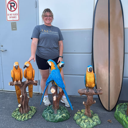 Blue Gold Macaw Parrot On Branch Life Size Statue