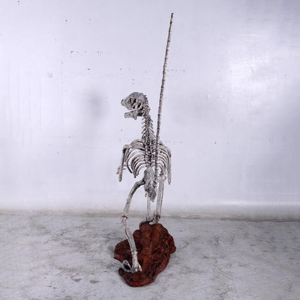 Deinonychus Dinosaur Skeleton Life Size Statue