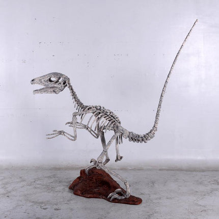 Deinonychus Dinosaur Skeleton Life Size Statue