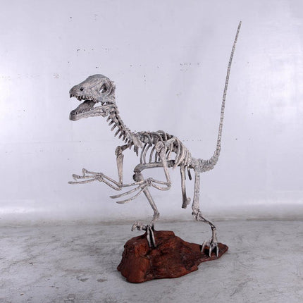 Deinonychus Dinosaur Skeleton Life Size Statue